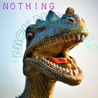 Nothing