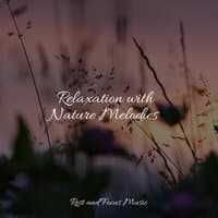 Relaxation with Nature Melodies