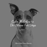 Sleep Therapy Music For Dogs