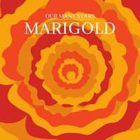 Marigold