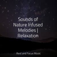 Sounds of Nature Infused Melodies | Relaxation