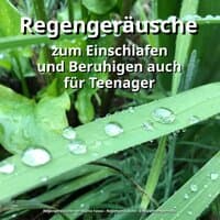 Regengeräusche zum Einschlafen und Beruhigen auch für Teenager