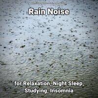 Rain Noise for Relaxation, Night Sleep, Studying, Insomnia