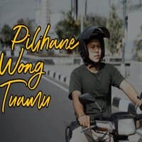 Pilihane Wong Tuamu