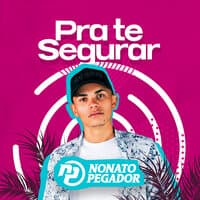 Pra Te Segurar