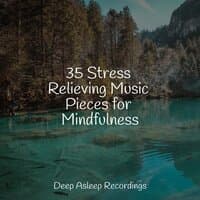 35 Stress Relieving Music Pieces for Mindfulness