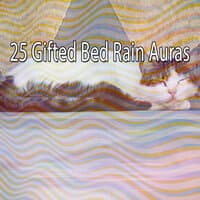 25 Gifted Bed Rain Auras