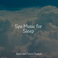 Spa Music for Sleep