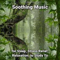 Soothing Music for Sleep, Stress Relief, Relaxation, to Study To