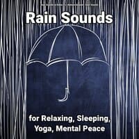 Rain Sounds for Teenagers