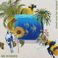 Mr Summer