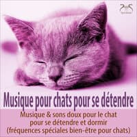 Musique pour chats pour se détendre - Musique & sons doux pour le chat pour se détendre et dormir (fréquences spéciales bien-être pour chats)