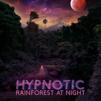 Hypnotic Rainforest at Night: Exotic Sleepy Ambient Storytelling Music