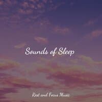 Sounds of Sleep