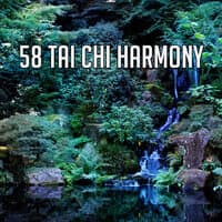 58 Tai Chi Harmony