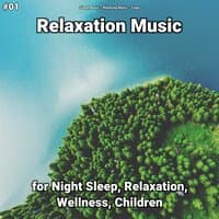 #01 Relaxation Music for Night Sleep, Relaxation, Wellness, Children