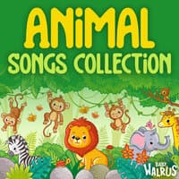 Animal Songs Collection