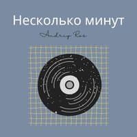 Несколько минут