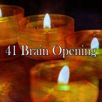 41 Brain Opening