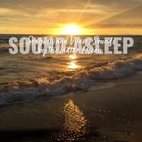 Sound Asleep: Seagulls and Waves Sounds by the Indian Ocean