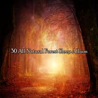 30 All Natural Forest Sleep Album