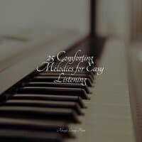 25 Comforting Melodies for Easy Listening