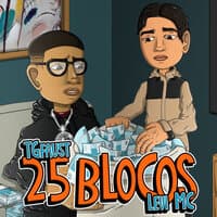 25 Blocos