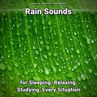 Rain Sounds for Sleeping, Relaxing, Studying, Every Situation