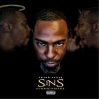 SinS