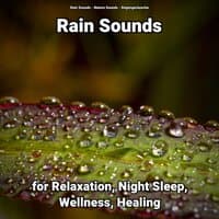 Rain Sounds for Relaxation, Night Sleep, Wellness, Healing