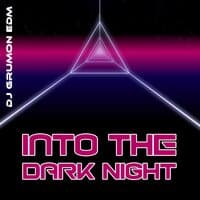 Into the Dark Night: Chilled Synthwave Vibes