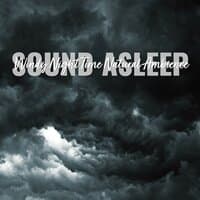 Sound Asleep: Windy Night Time Natural Ambience