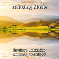 Relaxing Music for Sleep, Relaxation, Wellness, to Chill Out