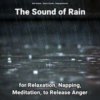 The Sound of Rain for Relaxation, Napping, Meditation, to Release Anger