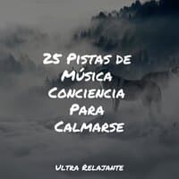 25 Pistas de Música Conciencia Para Calmarse