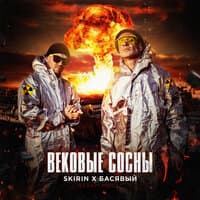 Вековые сосны