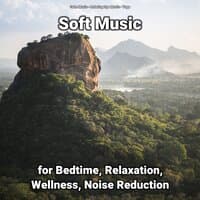 Soft Music for Bedtime, Relaxation, Wellness, Noise Reduction