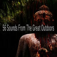 56 Sounds From The Great Outdoors