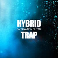 Hybrid Trap