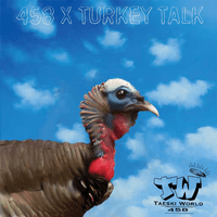 Turkey Talk