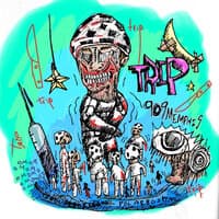 Trip