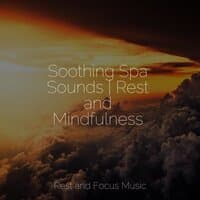 Soothing Spa Sounds | Rest and Mindfulness