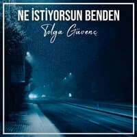 Ne İstiyorsun Benden