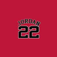 Jordan 22