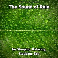 The Sound of Rain for Sleeping, Relaxing, Studying, Spa