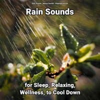 Rain Sounds for Sleep, Relaxing, Wellness, to Cool Down