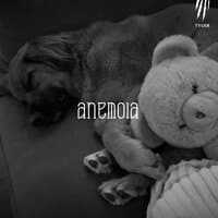 Anemoia