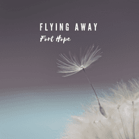 Flying Away