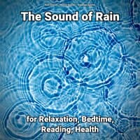 The Sound of Rain for Relaxation, Bedtime, Reading, Health