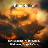 Rain Noise for Relaxing, Night Sleep, Wellness, Dogs & Cats